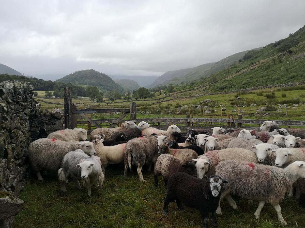 Вилла Stybeck Farm Thirlmere Экстерьер фото
